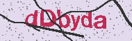 Codice captcha