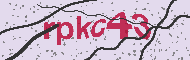 Codice captcha
